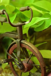 Close-up of rusty metal