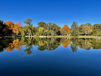 reflection