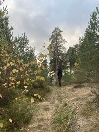 Rear view of man walking on road amidst trees against sky