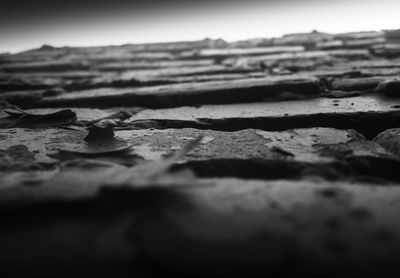 Surface level of dry leaf on beach