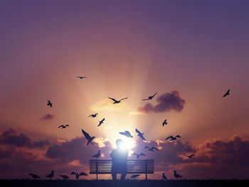 Silhouette person sitting on bench while birds flying around against sky