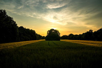 Scenic view of field against sky during sunset