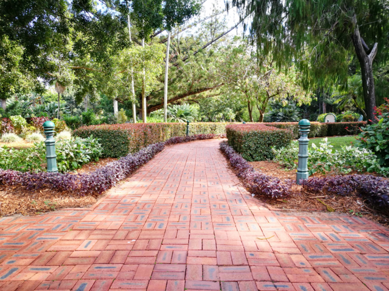 Cobblestone Diminishing Perspective Direction Footpath Garden Path Growth Nature No People Outdoors Park Park - Man Made Space Plant Stone The Way Forward Tranquility Tree Treelined