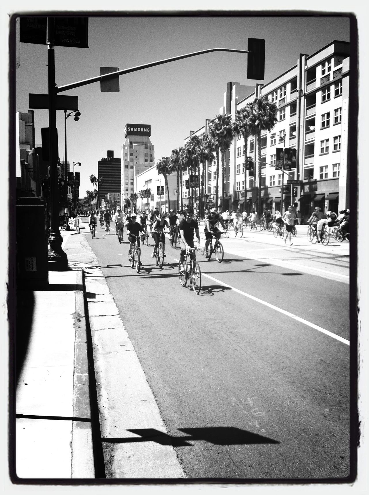 Wilshire Boulevard*