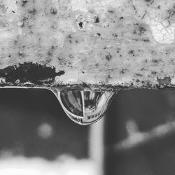 Close-up of water drops on window