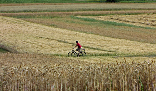Man cycling in field