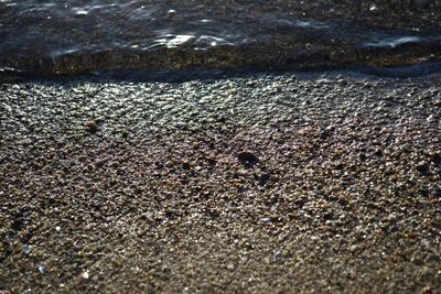 Surface level of road