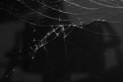 Close-up of spider web against black background
