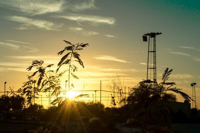 Silhouette trees against sky during sunset