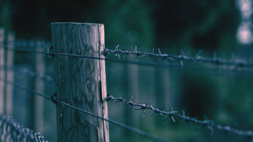 Close-up of barbed wire fence on wooden post