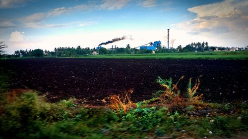 Scenic view of agricultural field against sky