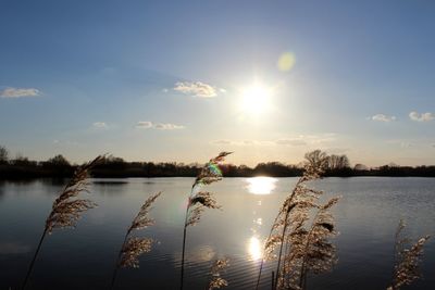 Scenic view of lake against sky during sunset