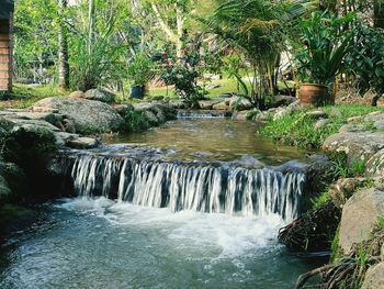 Scenic view of waterfall