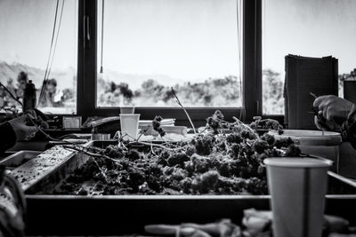 Close-up of potted plant on table against window