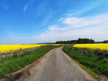 Dirt road amidst field against sky