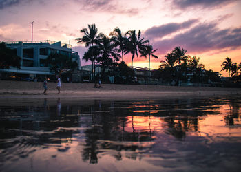 Silhouette palm trees by plants against sky during sunset