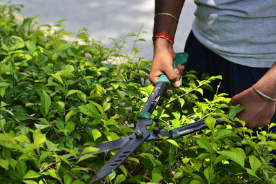 Midsection of man working in farm