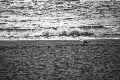 Scenic view of beach