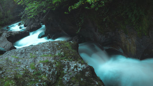 Scenic view of waterfall in forest