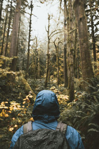 Rear view of person standing in rainforest during rainy season