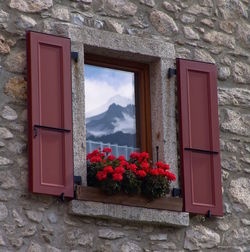Low angle view of red flowers at window