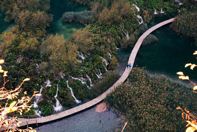 High angle view of river amidst trees