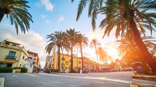 Road by palm trees and buildings against sky during sunset