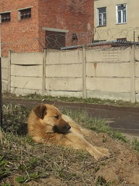 Exterior of building