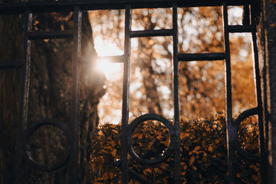 Close-up of rusty metal against window