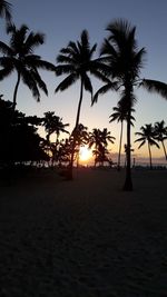 Silhouette palm trees on beach against sky during sunset