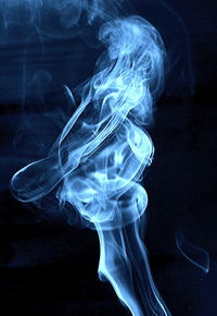 Close-up of object over white background