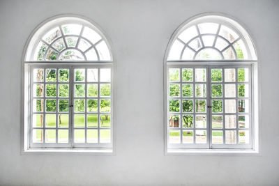 Plants seen through window