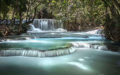 Waterfall in forest