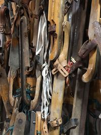 Close-up of clothes hanging on wood