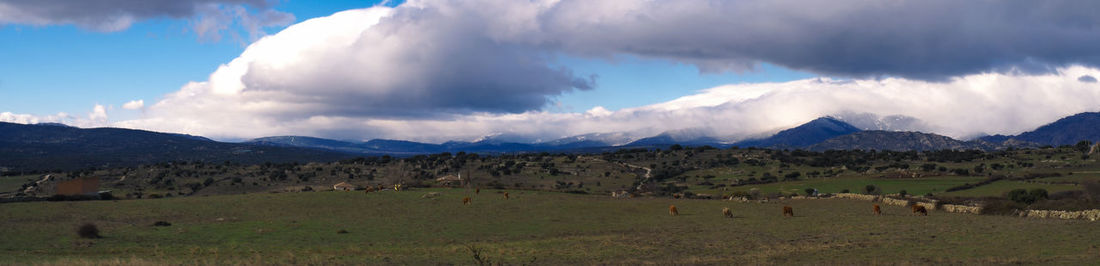 Country side with snowed mountains 