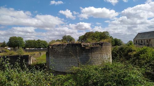 Plants growing on old building against sky