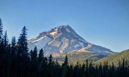 Scenic view of mt hood against clear sky