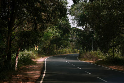 Empty road amidst trees in forest