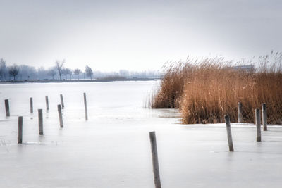 Wooden posts on snow covered land against sky