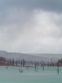 Scenic view of field against sky during winter