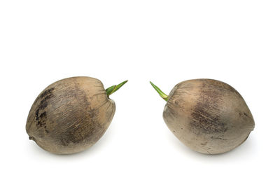 Close-up of fruits against white background