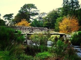 Scenic view of pond