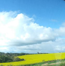 Scenic view of field against sky