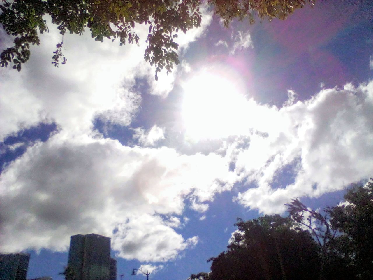 sky, cloud, tree, sunlight, nature, plant, low angle view, architecture, sunbeam, beauty in nature, no people, day, outdoors, built structure, building exterior, scenics - nature, city, morning, tranquility, lens flare, building, growth