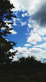 Trees on field against cloudy sky