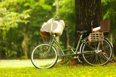 Bicycle parked by tree trunk on field