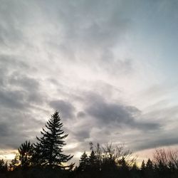 Low angle view of silhouette trees against sky during sunset
