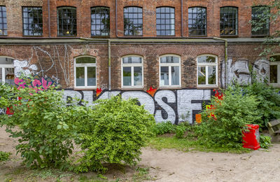 Trees and plants growing outside building