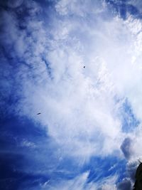 Low angle view of birds flying in sky