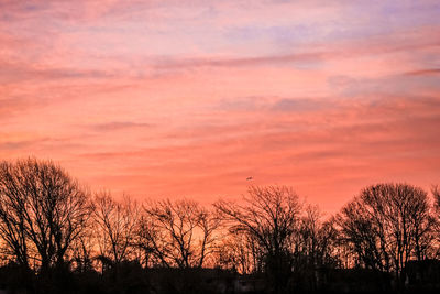 Low angle view of silhouette trees against dramatic sky